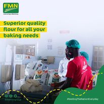 Flour Mills Of Nigeria Plc