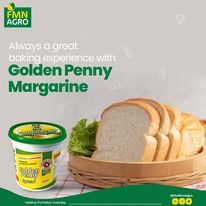 Flour Mills Of Nigeria Plc