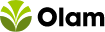 Olam Group