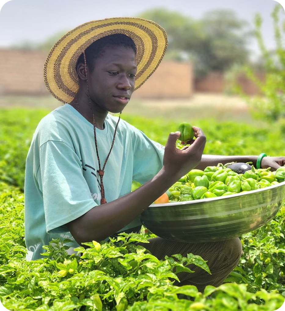 Agriculture