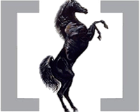 Stallion Vision