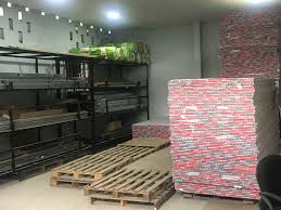 Gypsum Plasterboard