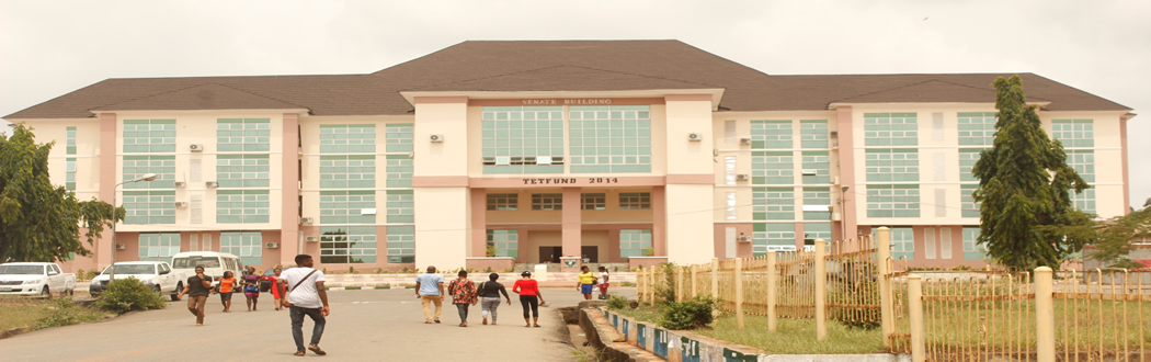 Imo State University