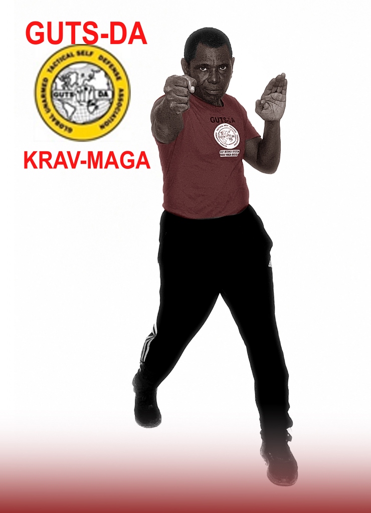 Action Martial Arts Training Academy