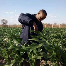 SaroAfrica International Limited